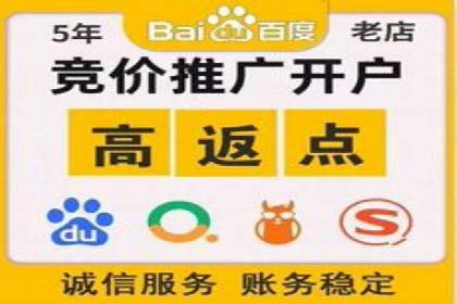 百度竞价赚钱的五大策略及成功案例解读